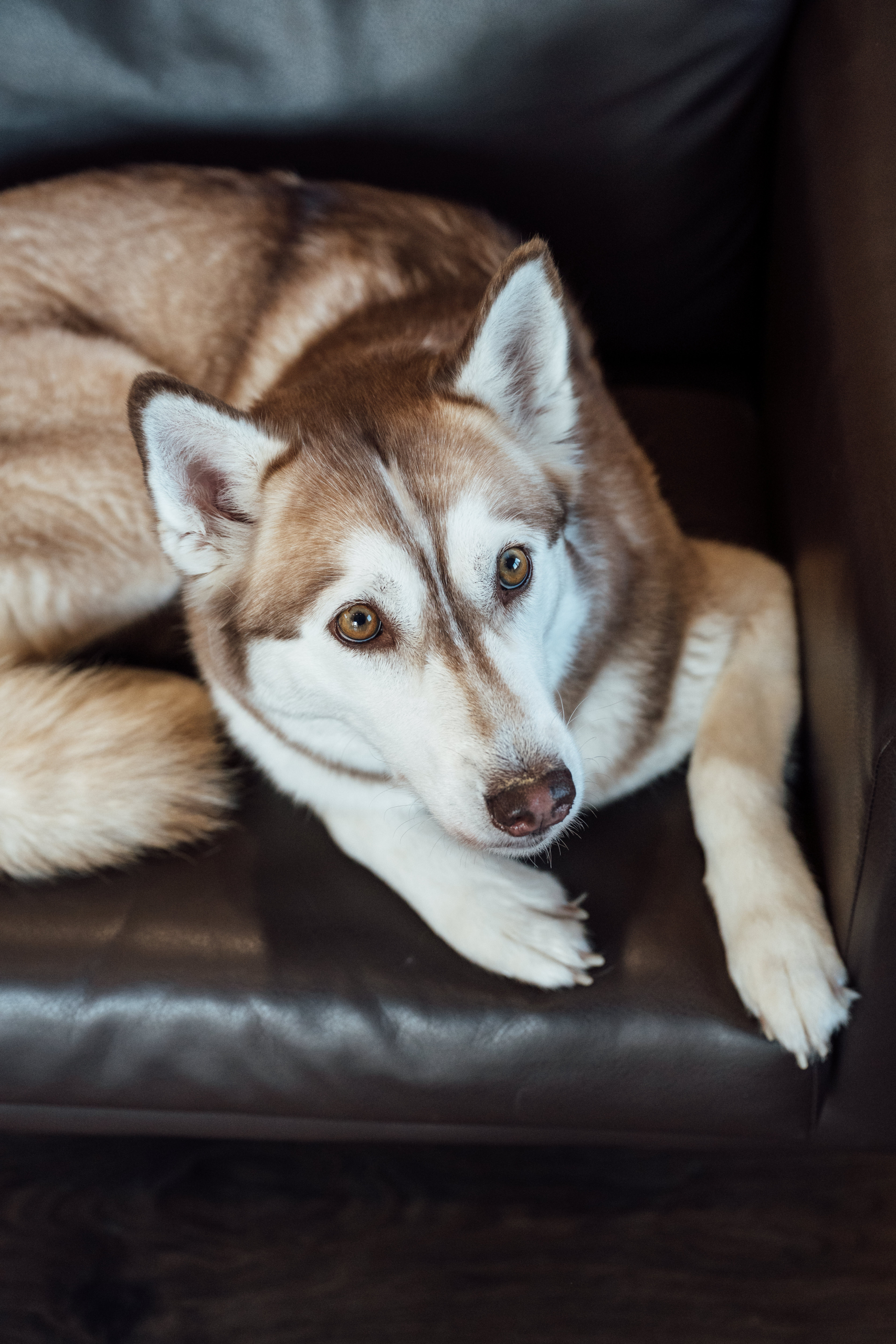Veronika Endriß | Fotograf Allgäu, Freising & Bodensee | Hochz